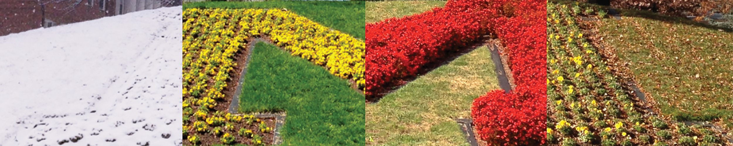 The M Circle shown in all four seasons.